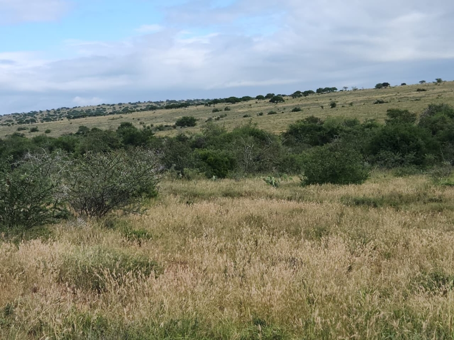 Commercial Property for Sale in Somerset East Rural Eastern Cape